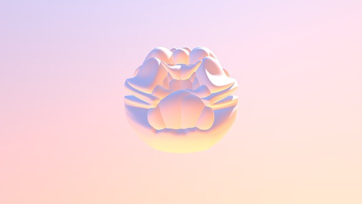 My model 3D Model