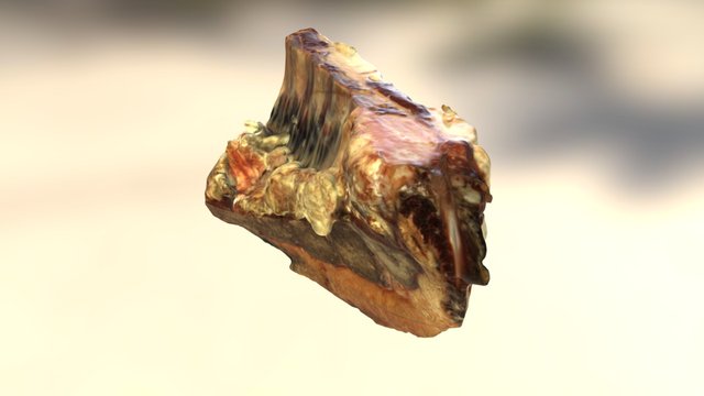 BrisketBone 3D Model