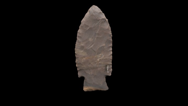 Large Projectile Point 3D Model