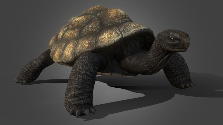 Bentley Galapagos 3D Model
