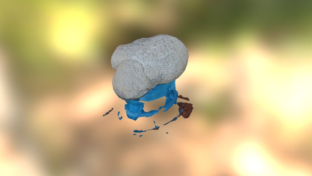 Workshop_Test