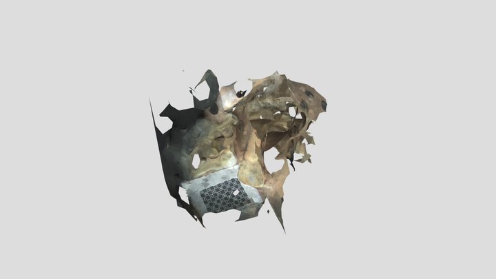 Phantom Model 3D Model
