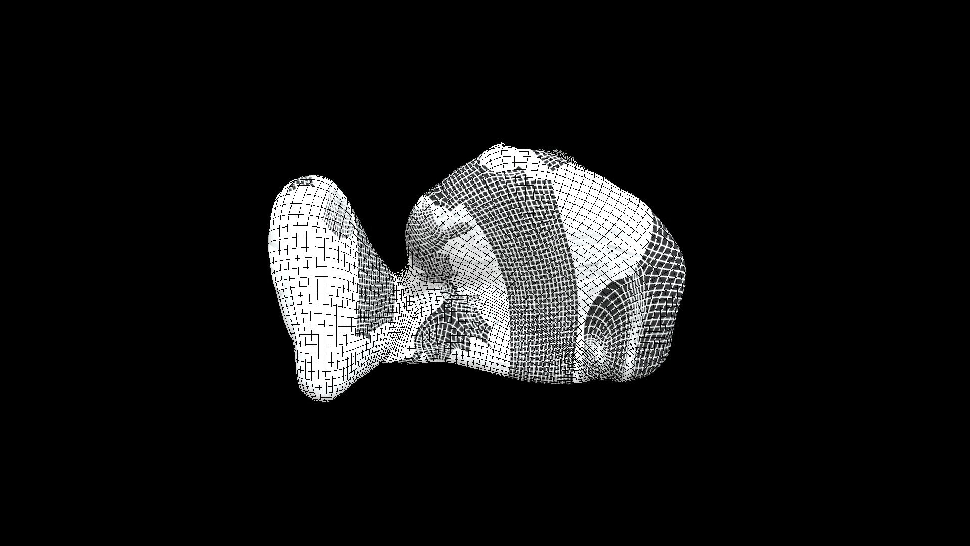 Ear_CS_Week_Eight_Wireframe 3D model by Education Resource Fund