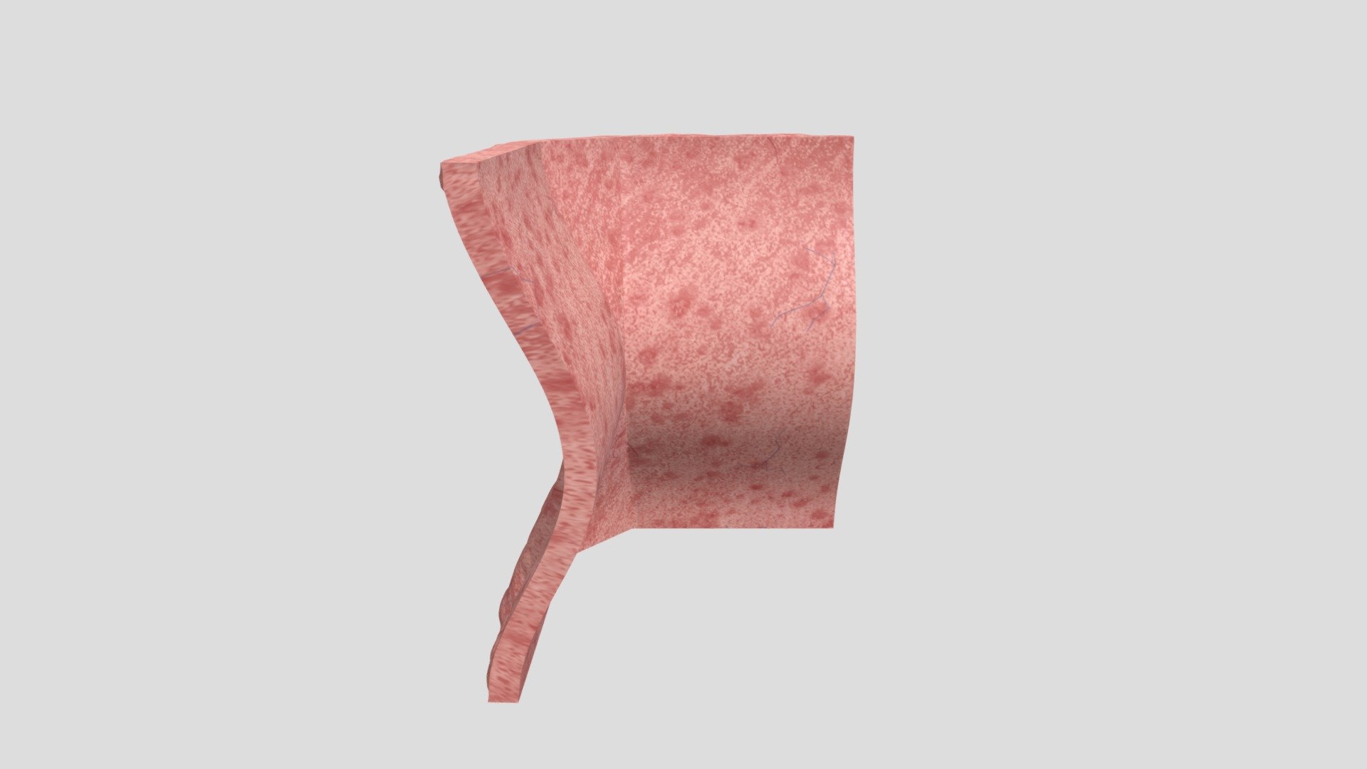 Flesh Hook Wall
