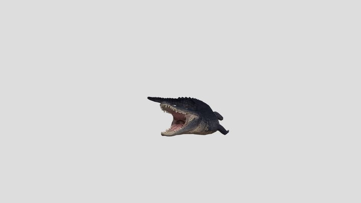 Coccodrillo sauro
