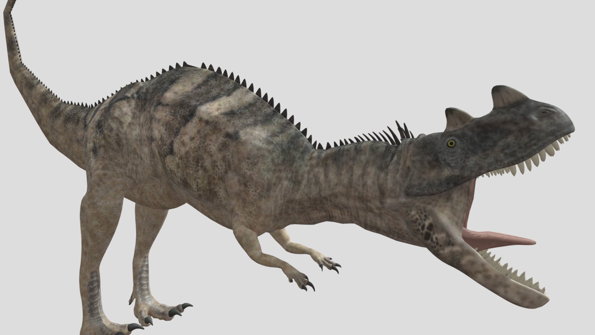 Ceratosaurus 2 - Download Free 3D Model By Seth The Yutyrannus ...