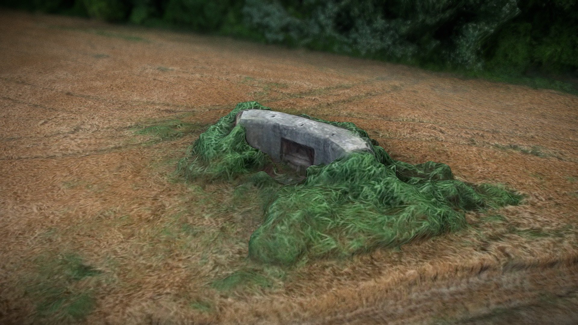 DJI_0566 - BUNKER