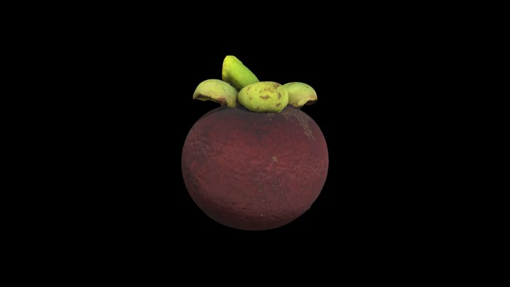 Mangosteen 3D Model