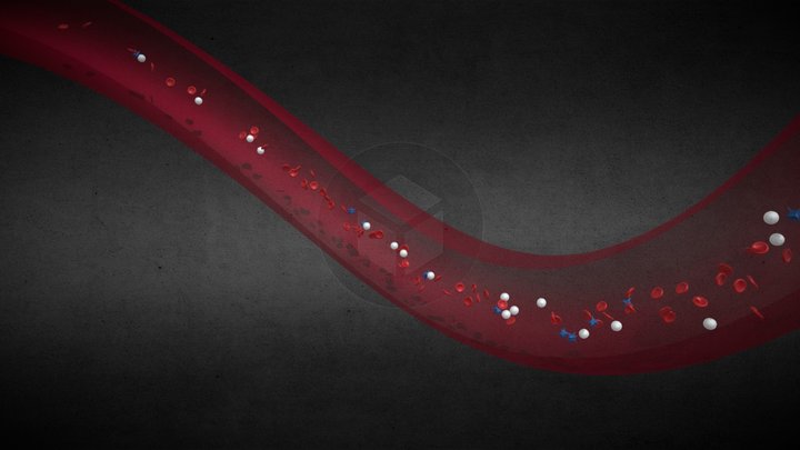 Blood Cells 3D Model