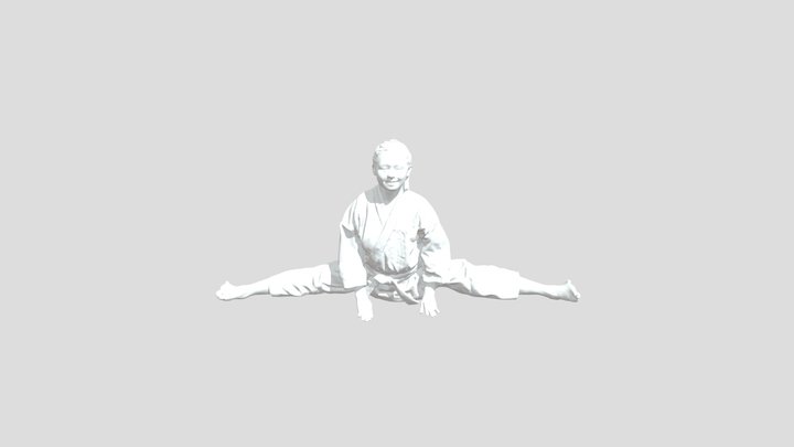 Karate Splits Meshi ai 3D Model