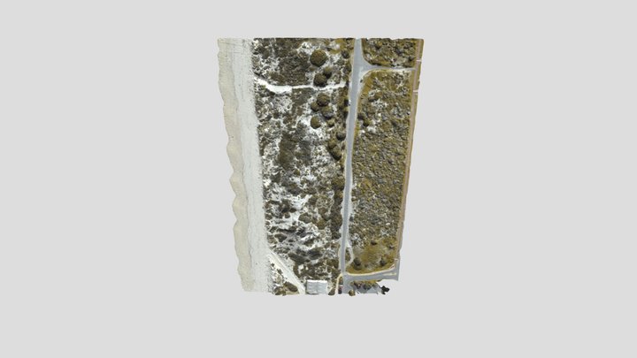 Floreat Beach - flight-2 3d Mesh - Aug 2021 3D Model
