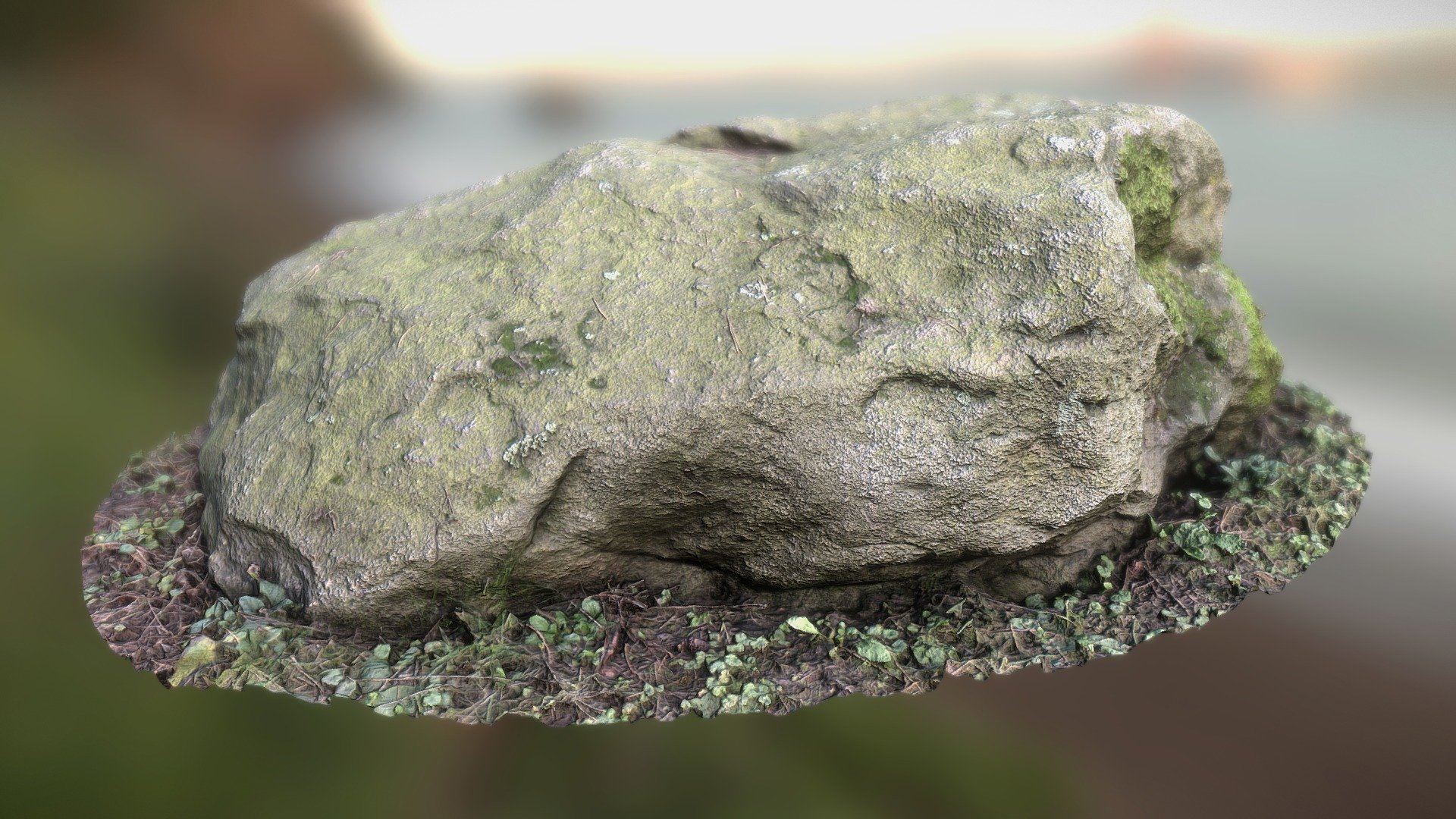 Mossy wet stone 2