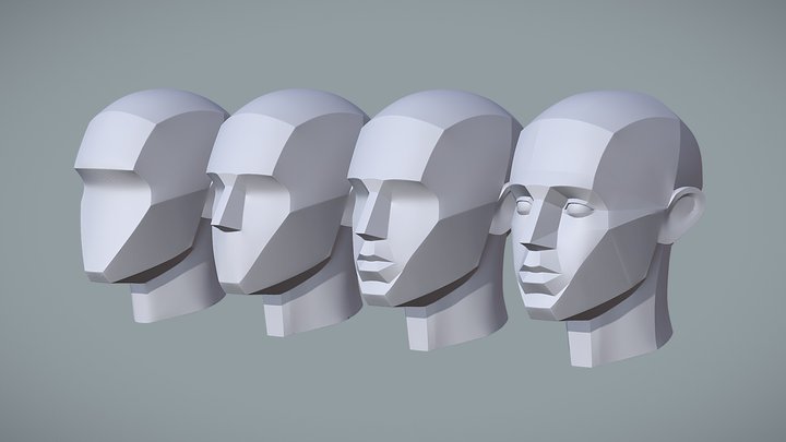 Basic Head Structure Building Blocks 3D Model