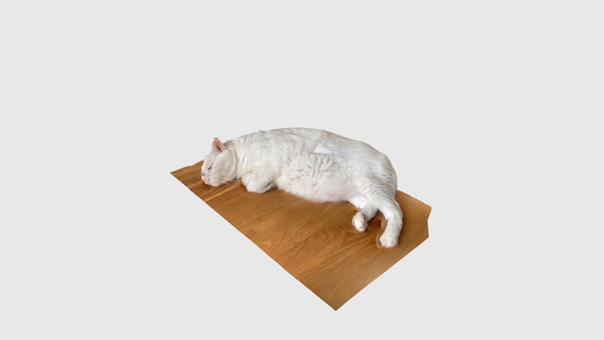 sleeping white