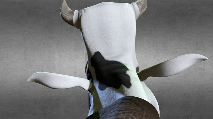 Staun 3D Model