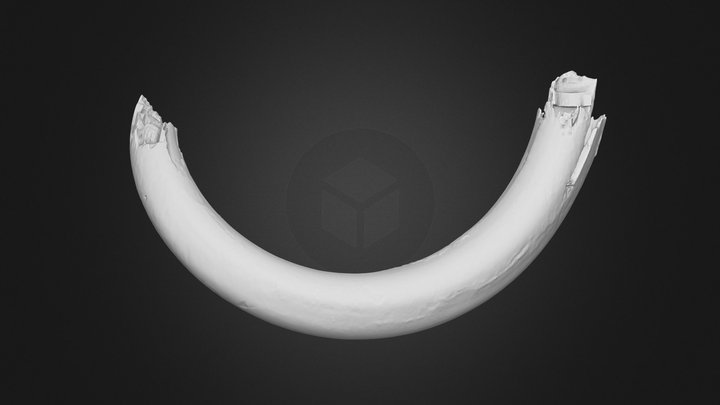 Risch-Rotkreuz, Mammut-Stosszahn / mammoth tusk 3D Model