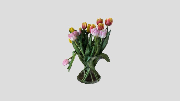 Pour vous, ces quelques fleurs! 3D Model