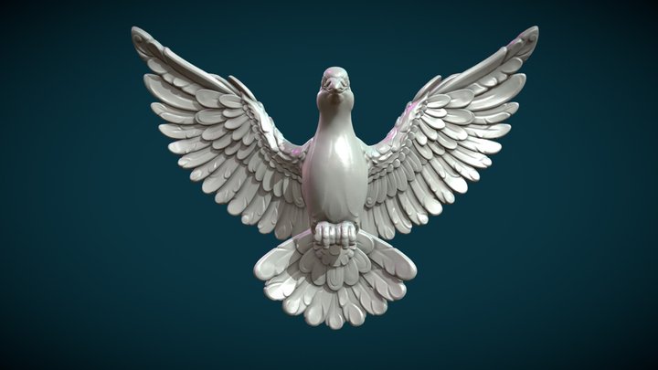 Dove 3D Models - Sketchfab