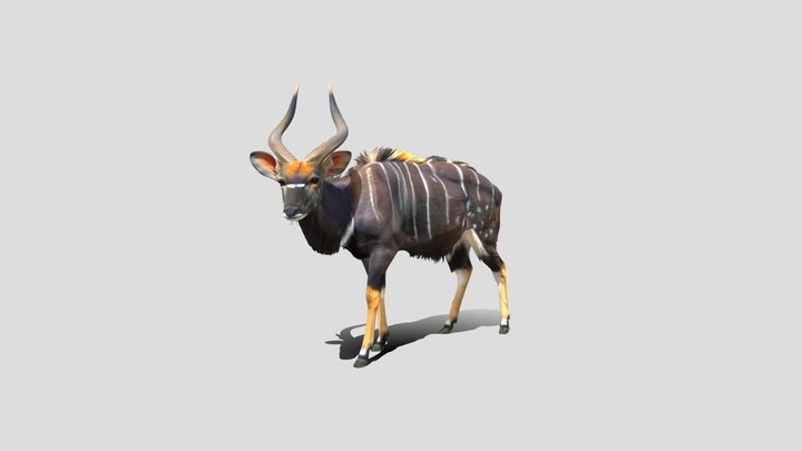 Striped Nyala – Modelo 3D gratuito STL
