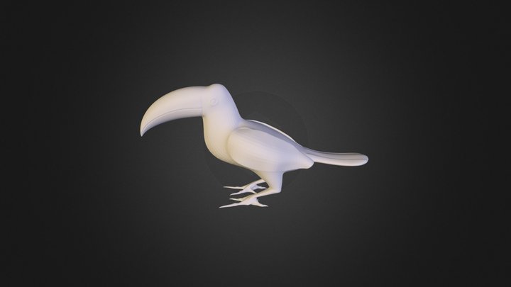 Bird_Toucan 3D Model