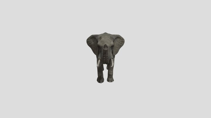 Elephant 3D Model