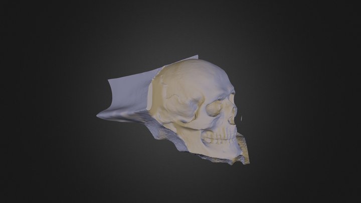 Calaverasola 3D Model
