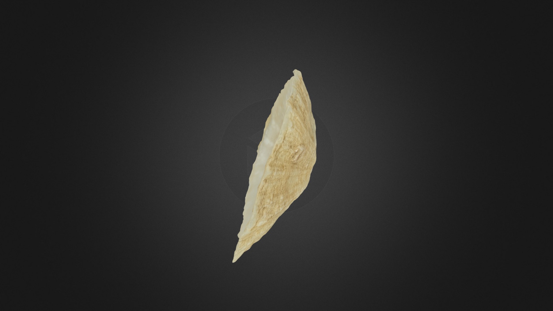 Fosil_4 - 3D model by jcc00061 (PALEOV-UJA) (@jcc00061) [41e98ef ...