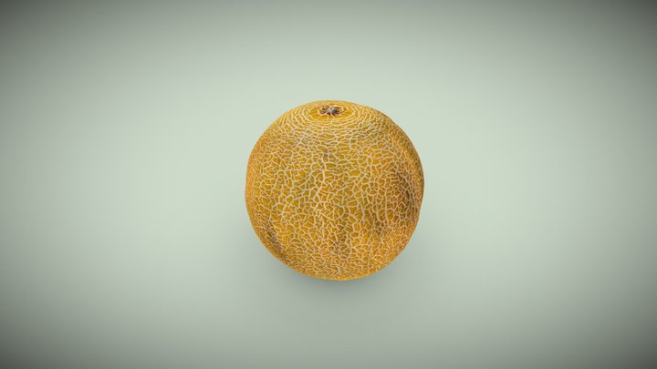 Galia melon 3D Model