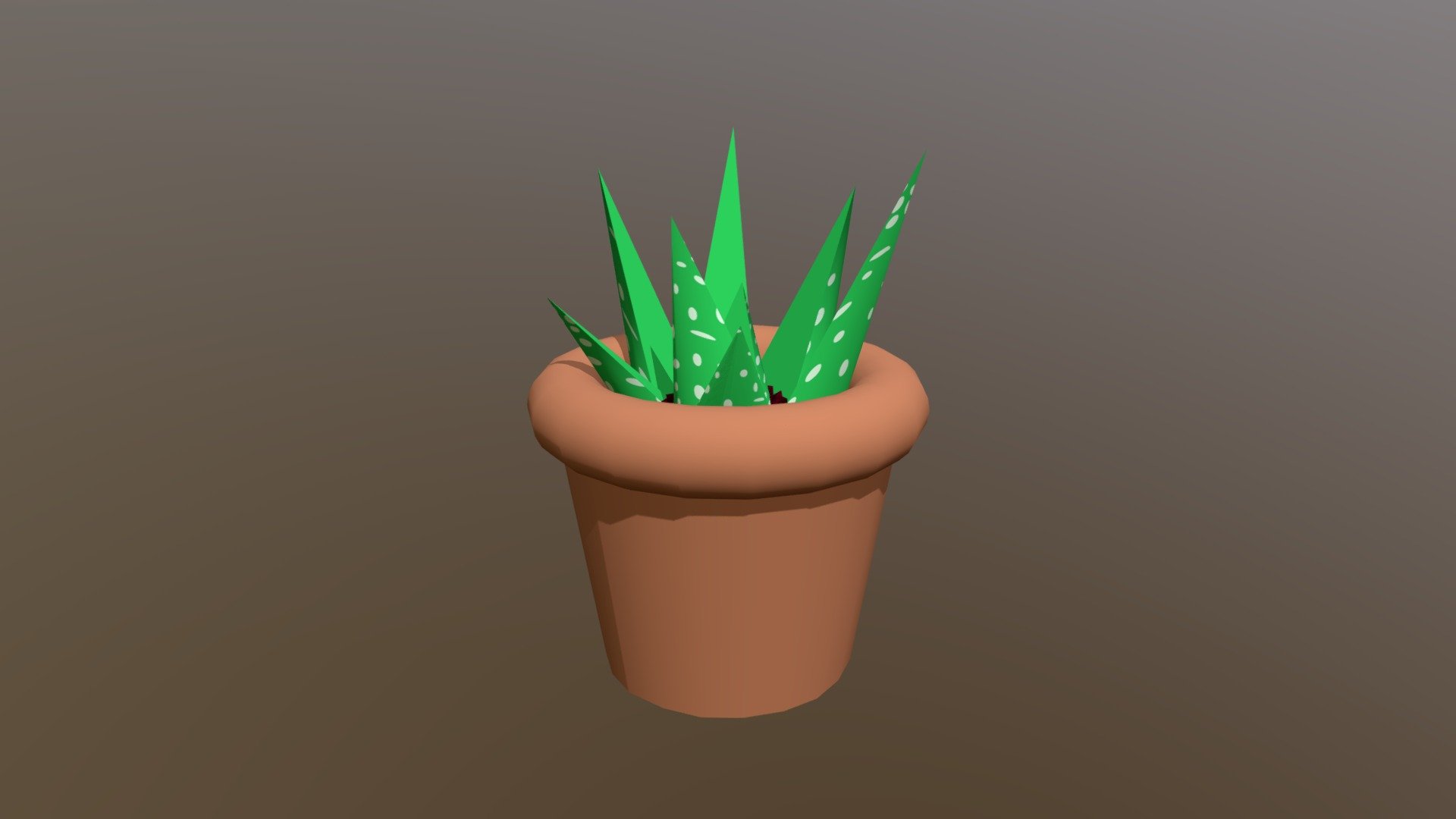 Aloe Vera Plant