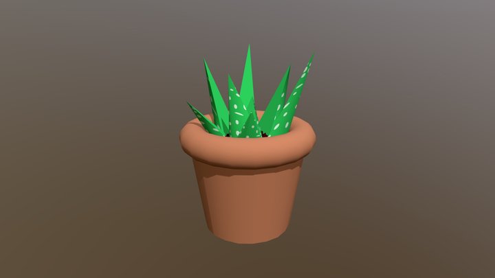 Aloe Vera Plant 3D Model