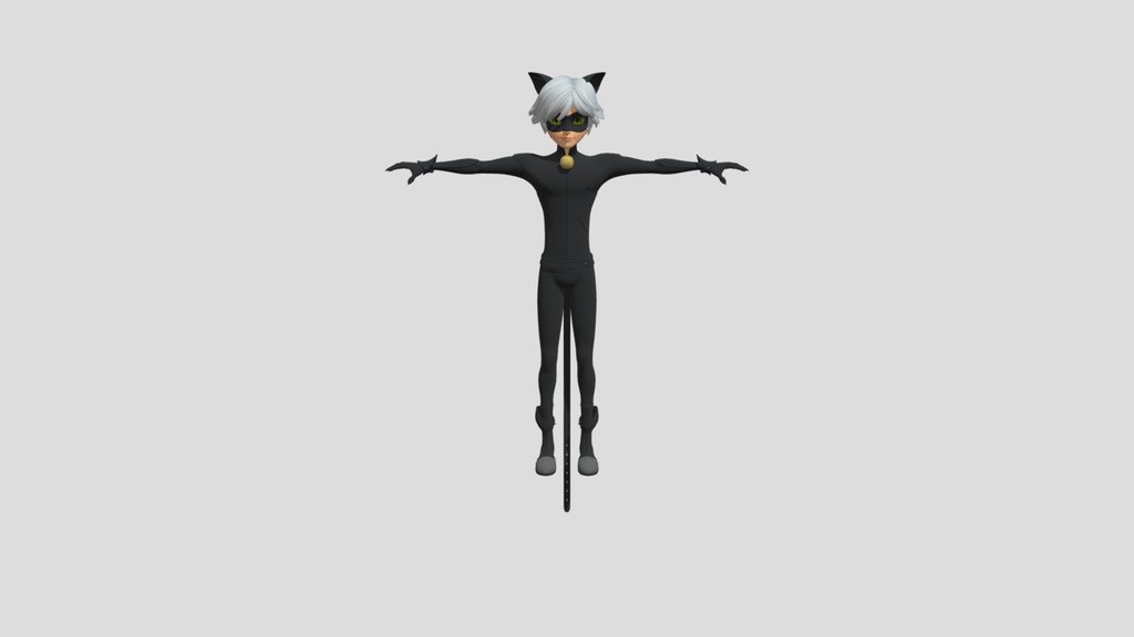 Cat Noir