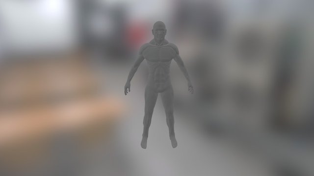 Low Poly Human male 3D Model