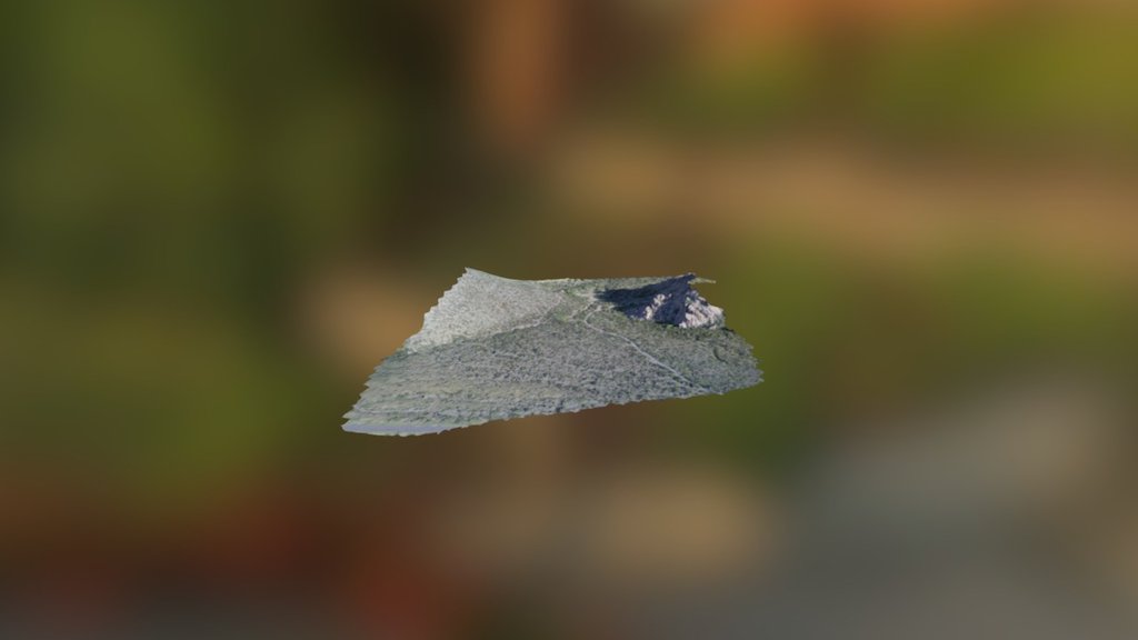 Siera Vista Simplified 3d Mesh