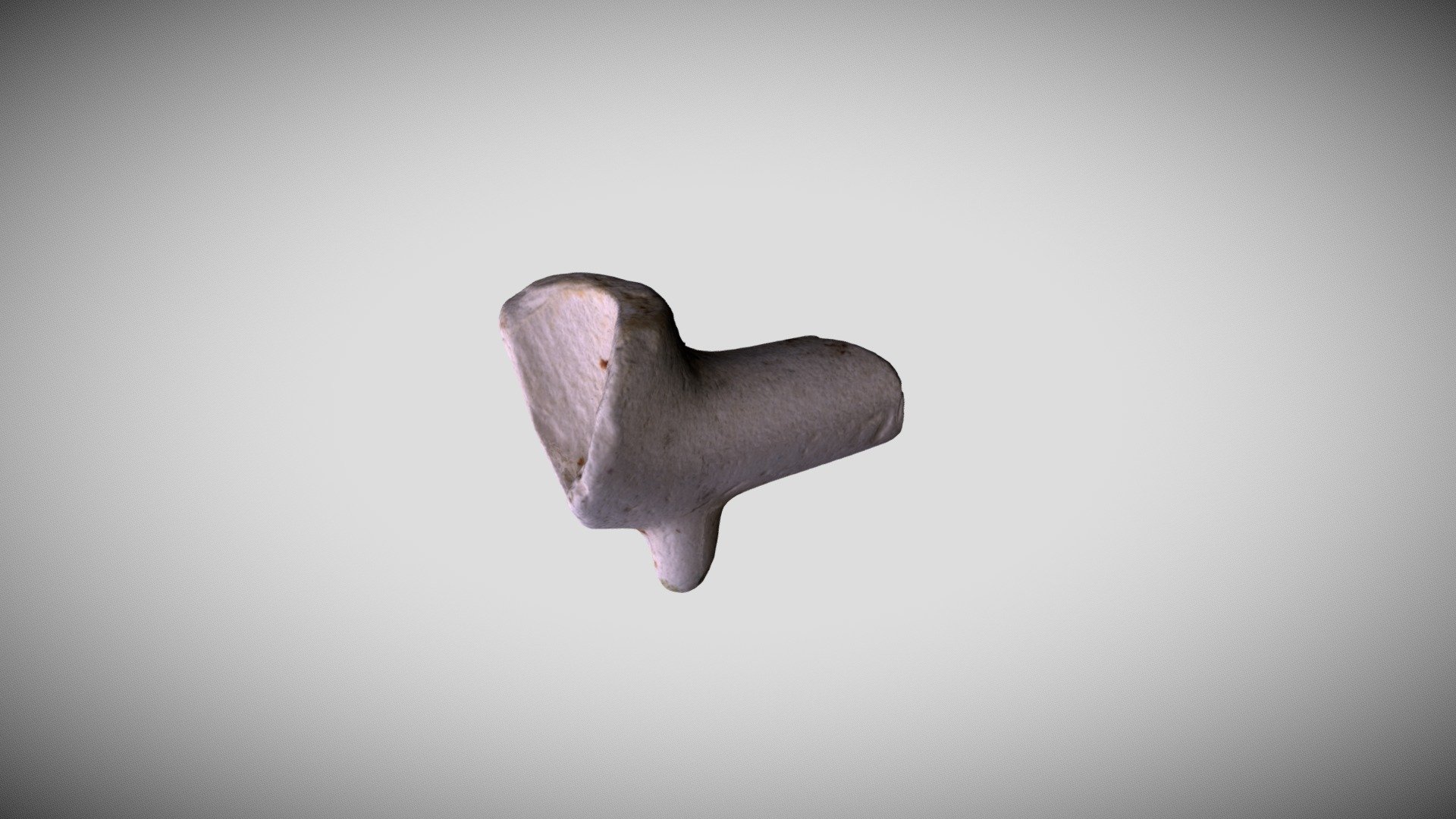 Clay Pipe fragment.