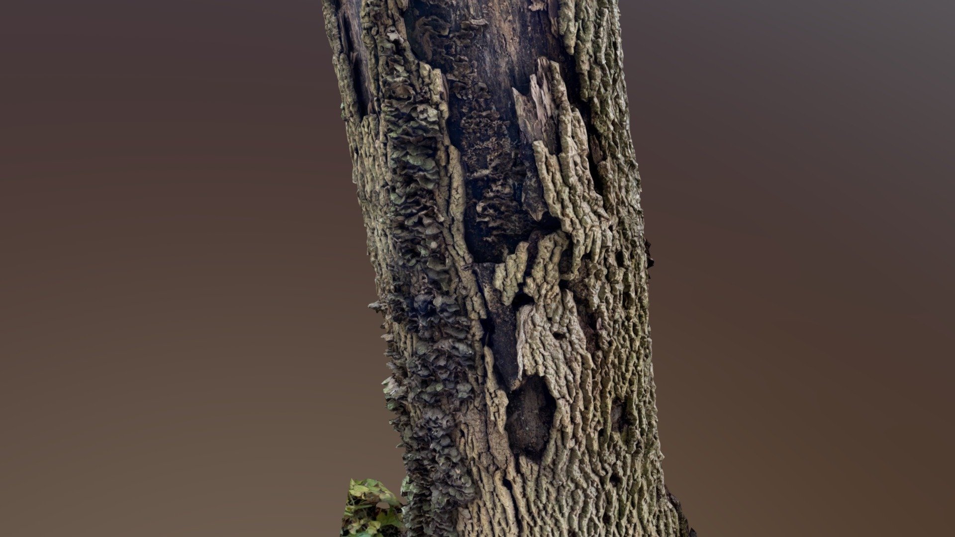 Day 077: Still Standing