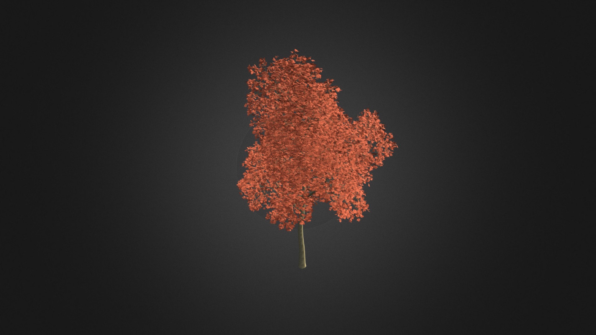 3D model Red Oak (Quercus rubra L.) 17.7m - This is a 3D model of the Red Oak (Quercus rubra L.) 17.7m. The 3D model is about map.
