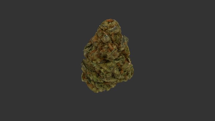 Nug-2-4096-nostem 3D Model