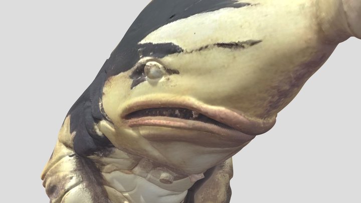 Gubila model made with ai. The model is weird😶