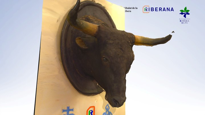 Cabeza de toro disecada (Casa del Bou) 3D Model