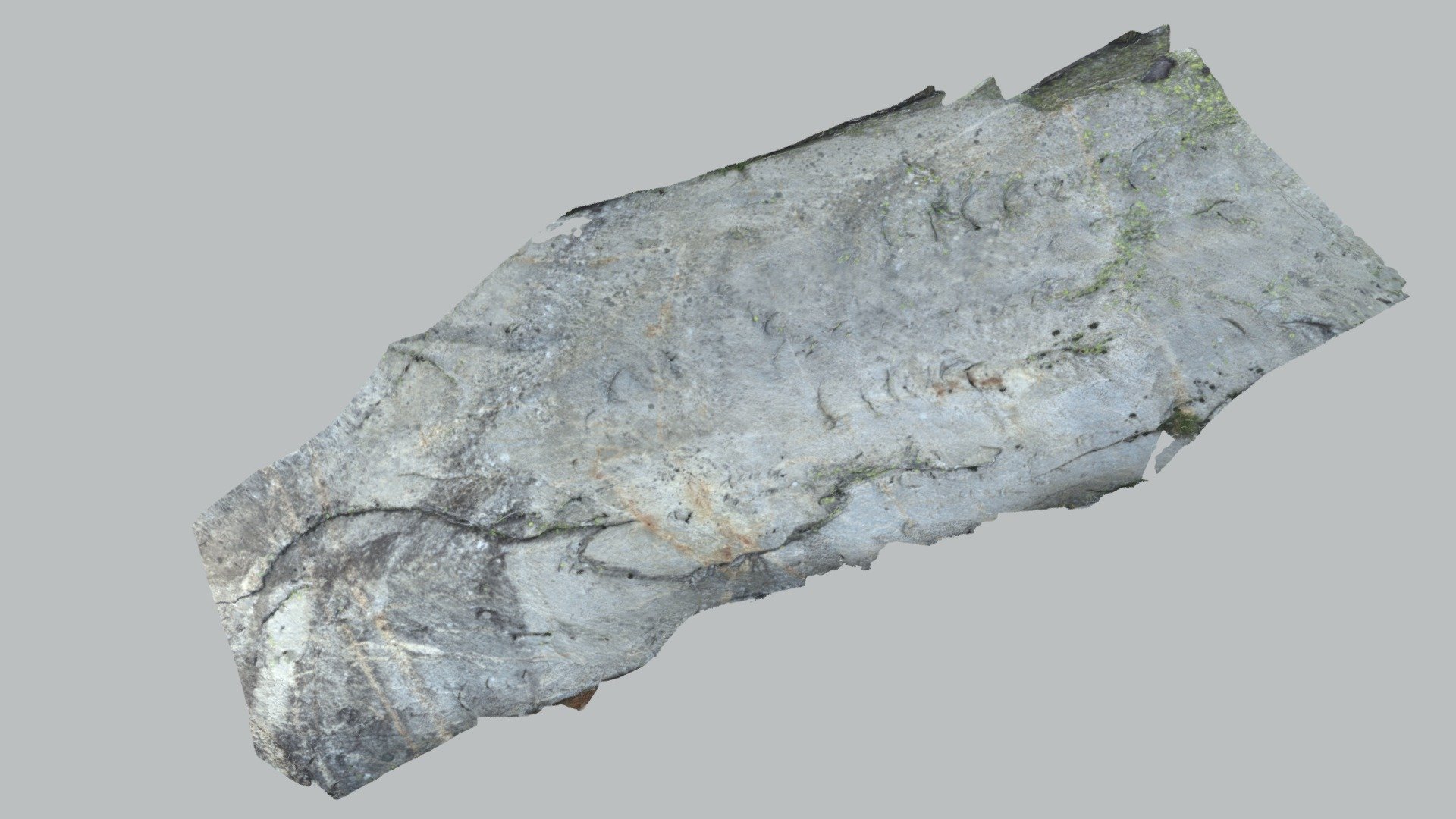 Glacially-polished rocks, Zillertal