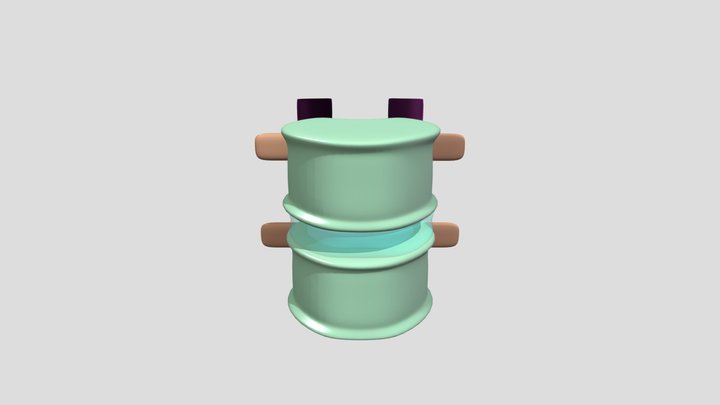 Santos Wong: Schematic Vertebrae 3D Model