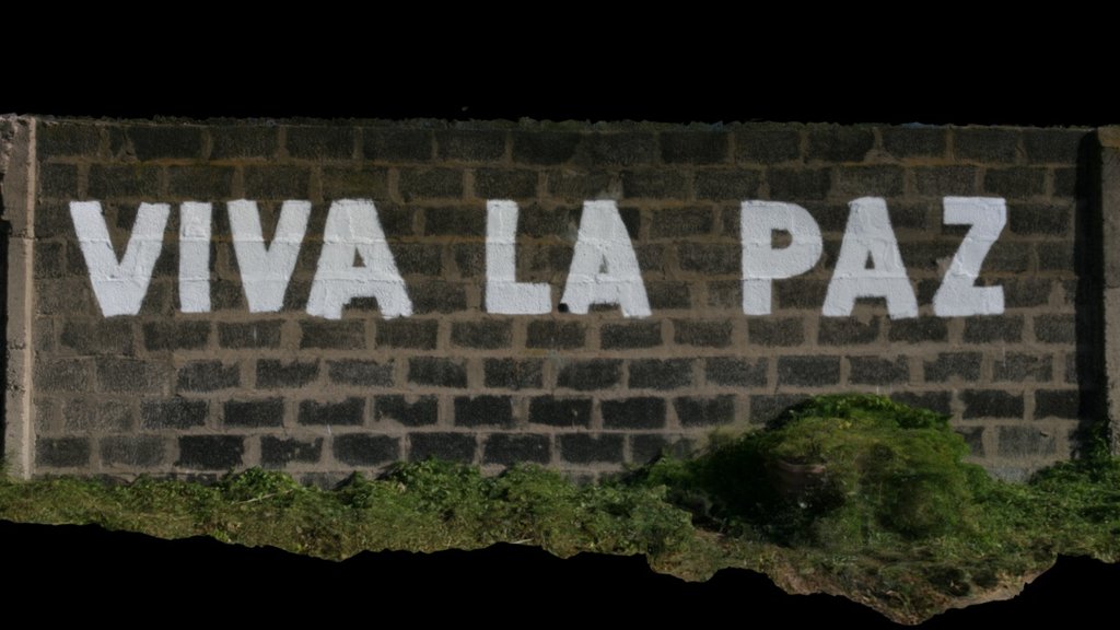 VIVA LA PAZ - Artistic painting on the wall