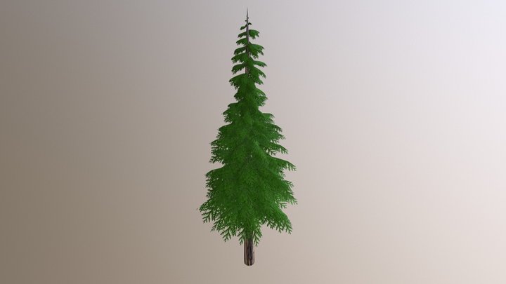 Fur Tree 3D Model