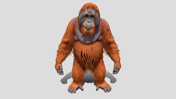 Low poly Orangutan Monkey 3d model free