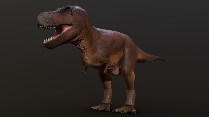 Low Poly Accurate T.rex (rigged) 3D Model