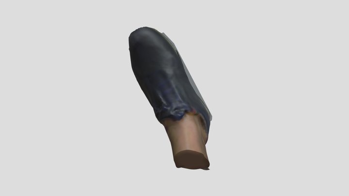 Foot2 3D Model