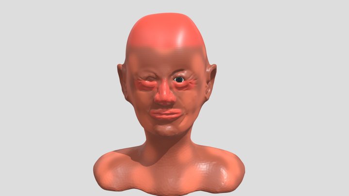 Head Sculpt 3D Model