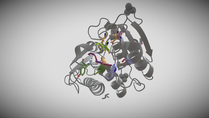 PETase Structure 3D Model