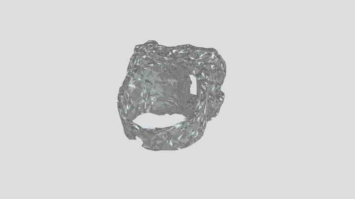 Ring 3D Model