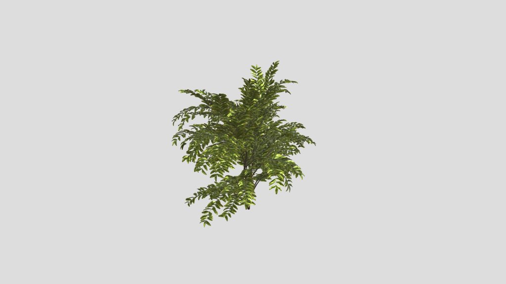 Simple Bush Plant